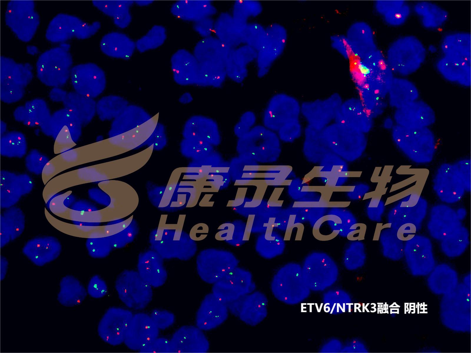 中国·拉斯维加斯(3499·官方认证)网站-Officialwebsite